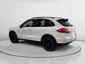 Porsche Cayenne S Hybrid Blanc - thumbnail 4
