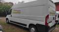 Fiat Ducato 35 LH2 130 CV 15 Q. PASSO LUNGO Bianco - thumbnail 8