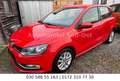 Volkswagen Polo V Comfortline Autom PDC Multi AllwetterSTHZ Rojo - thumbnail 1