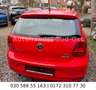 Volkswagen Polo V Comfortline Autom PDC Multi AllwetterSTHZ Rojo - thumbnail 4