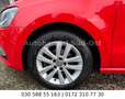 Volkswagen Polo V Comfortline Autom PDC Multi AllwetterSTHZ Rojo - thumbnail 14