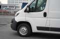 Peugeot Boxer 2.0 HDI 6Gang Kasten 335 L3H2 Pro Avantage Alb - thumbnail 15