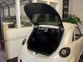 Microcar Due Fiat 500 Look Italia Weiss Mopedauto 45 KM Weiß - thumbnail 9