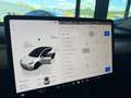 Tesla Model Y Model Y AWD PERFORMANCE * MWST * CARBON * 21 ZOLL* Weiß - thumbnail 23