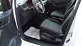 Volkswagen Caddy CDI Weiß - thumbnail 14