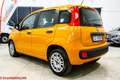 Fiat Panda Panda 1.2 Easy-Prezzo senza vincoli finanziamento Naranja - thumbnail 4