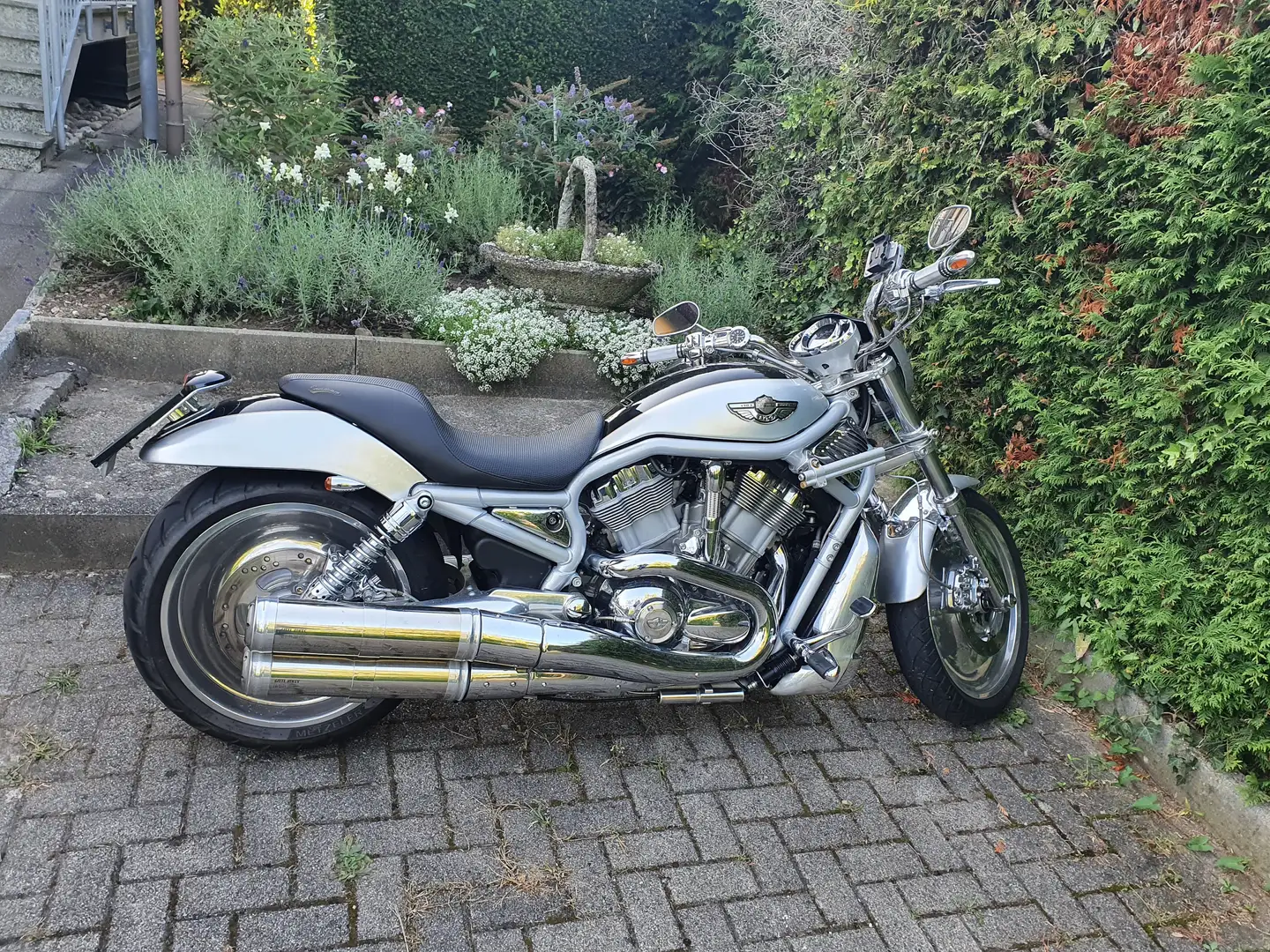 Harley-Davidson VRSC V-Rod Silber - 2