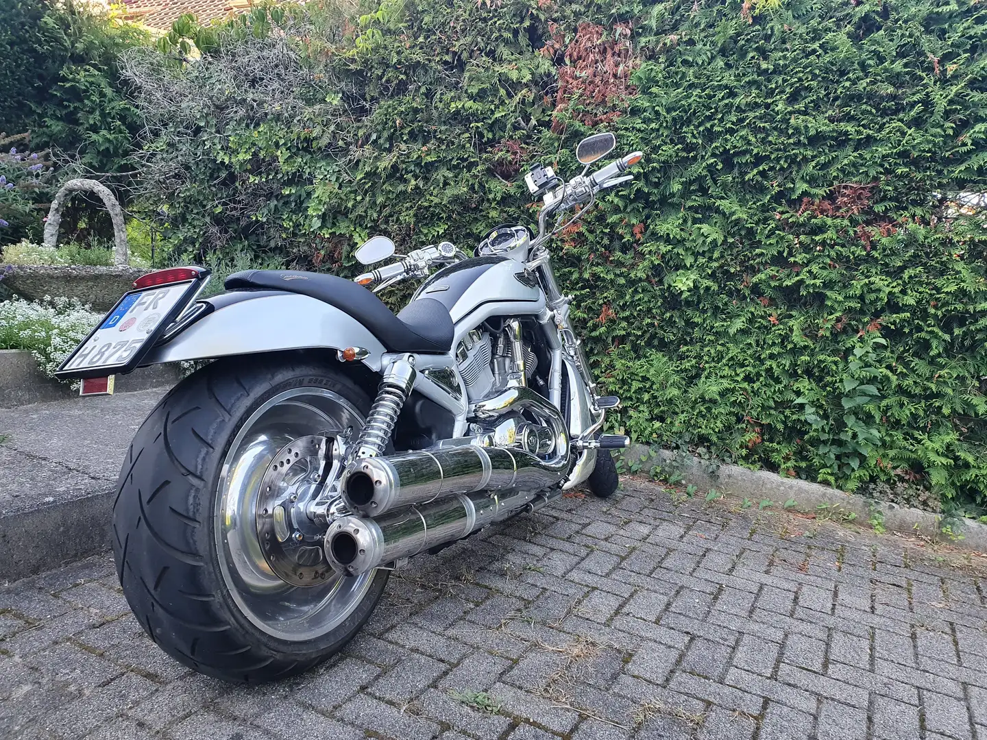 Harley-Davidson VRSC V-Rod Silber - 1