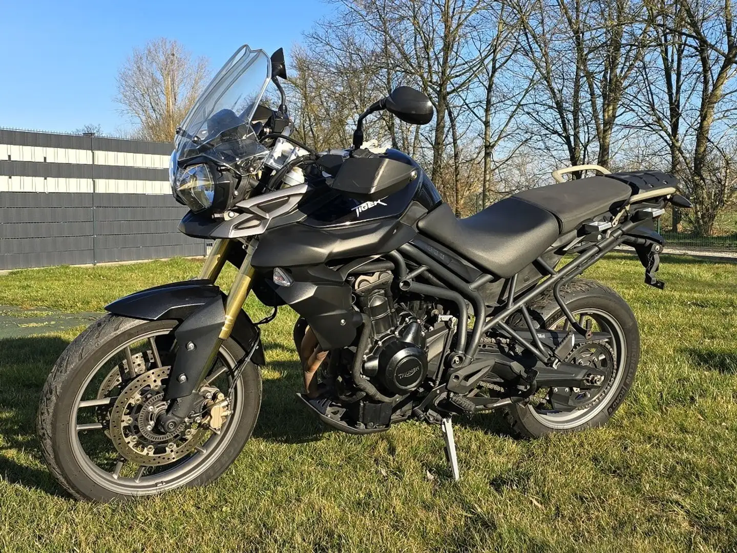 Triumph Tiger 800 Schwarz - 1