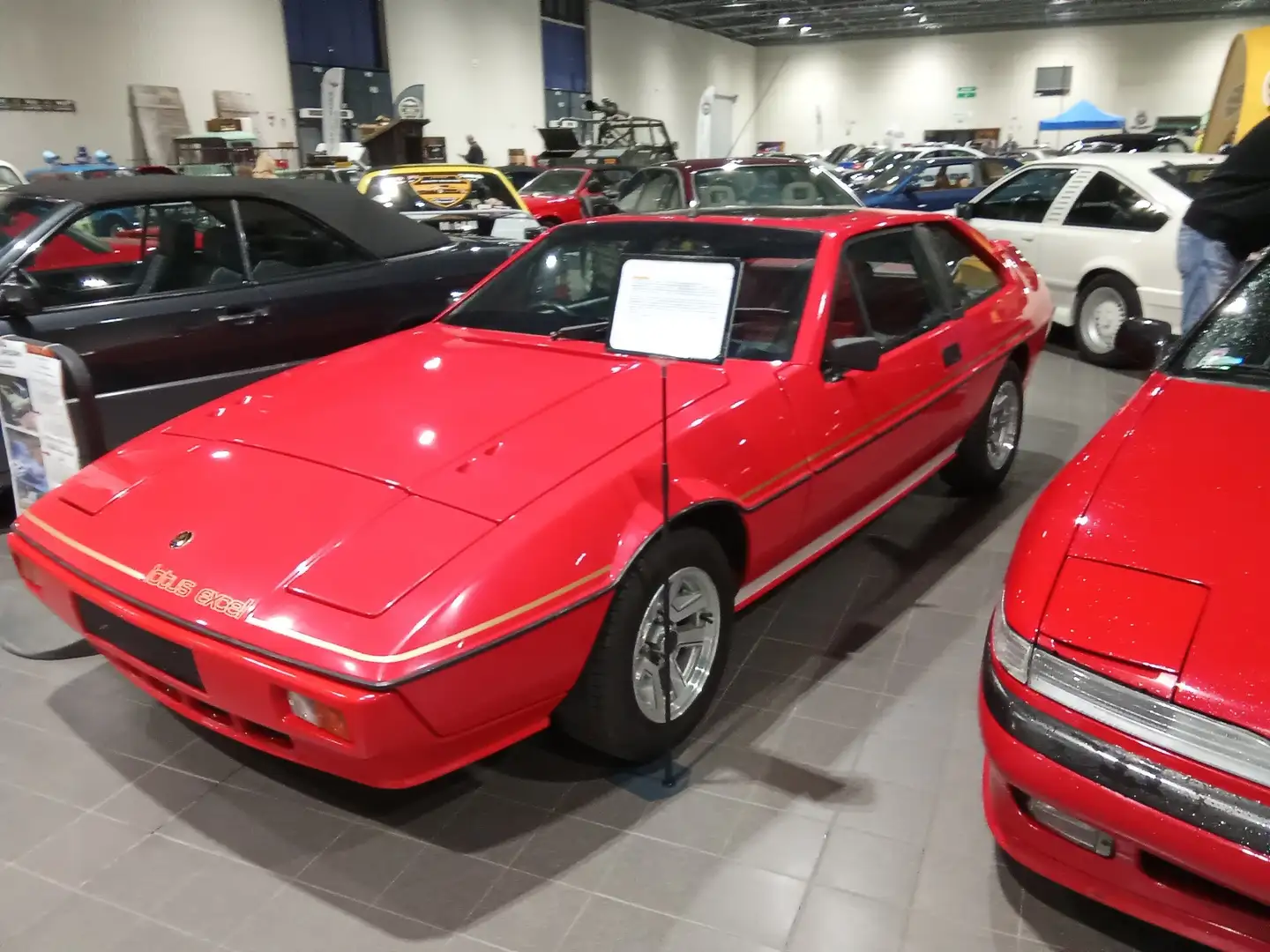 Lotus Excel Eclat - 2