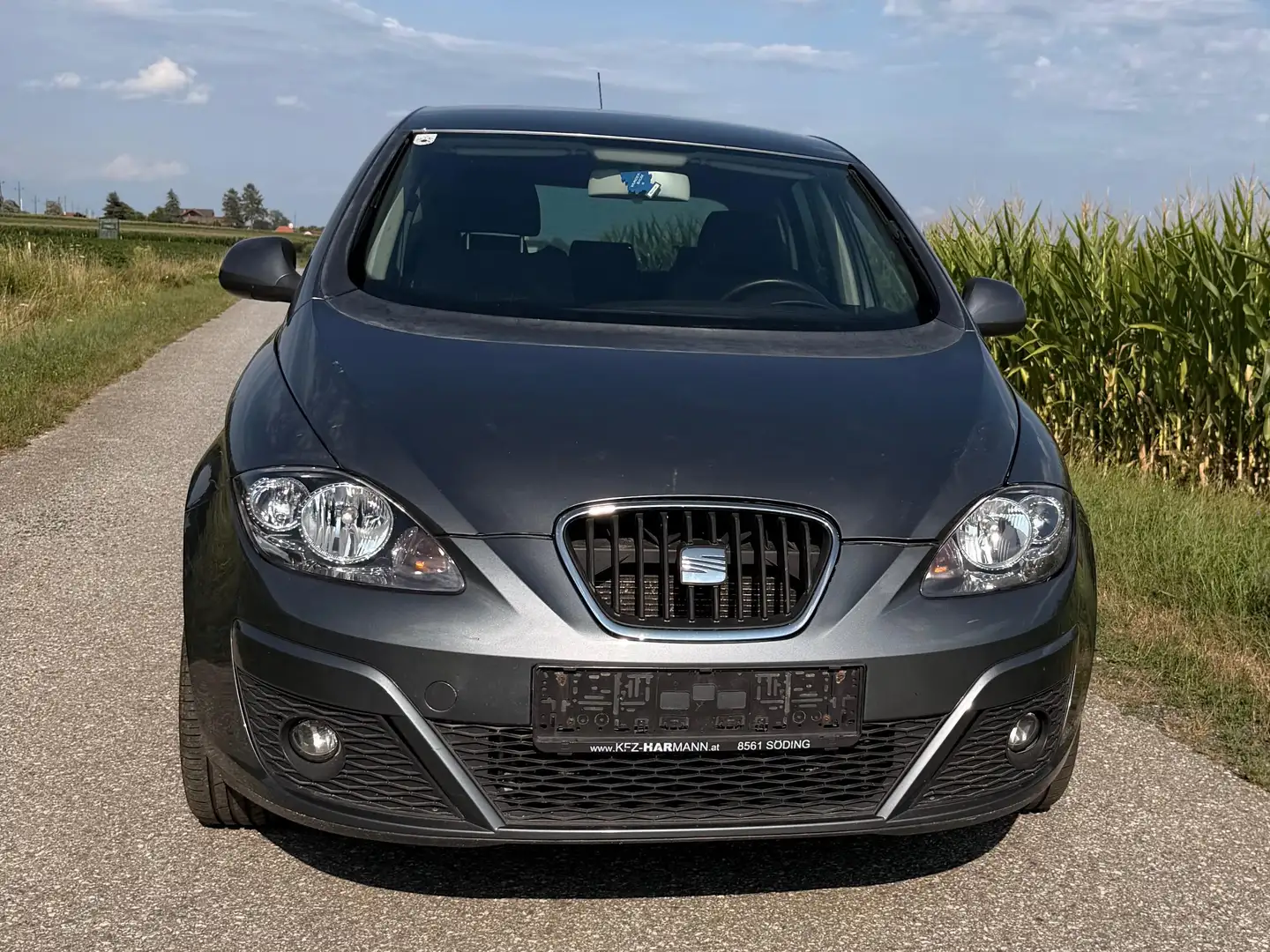 SEAT Altea Altea Chili-Copa 1,6 CR TDi Chili-Copa Grau - 1