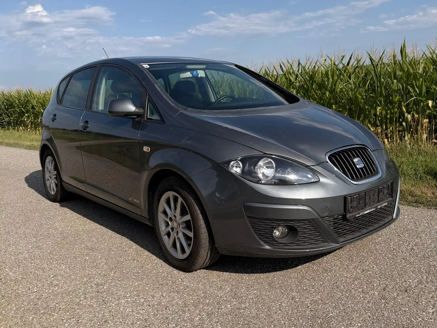 SEAT Altea Altea Chili-Copa 1,6 CR TDi Chili-Copa Grau - 2