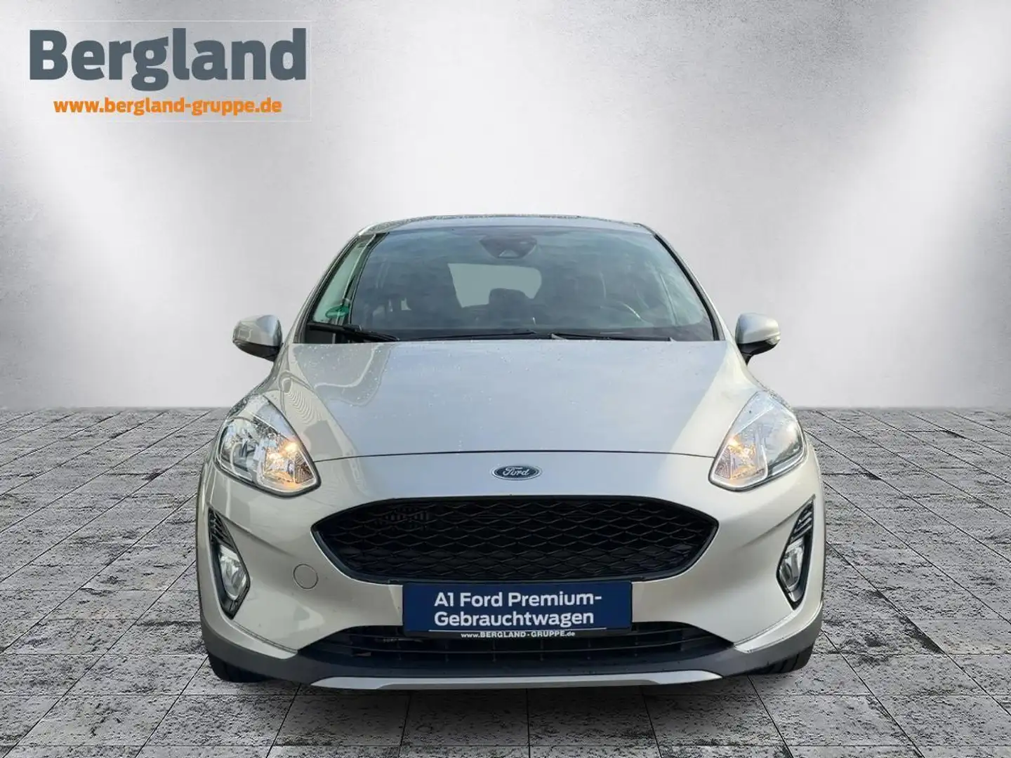 Ford Fiesta Active 1,0 l EcoBoost 63 kW (85 PS) 5T B Zilver - 2