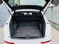 Audi SQ5 3.0TDI Plus quattro Tiptronic 340 Bianco - thumbnail 13