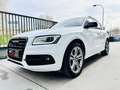 Audi SQ5 3.0TDI Plus quattro Tiptronic 340 Blanco - thumbnail 41