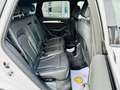 Audi SQ5 3.0TDI Plus quattro Tiptronic 340 Bianco - thumbnail 11