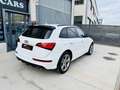 Audi SQ5 3.0TDI Plus quattro Tiptronic 340 Blanco - thumbnail 4