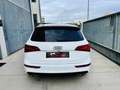 Audi SQ5 3.0TDI Plus quattro Tiptronic 340 Blanco - thumbnail 6