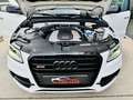 Audi SQ5 3.0TDI Plus quattro Tiptronic 340 Blanco - thumbnail 50