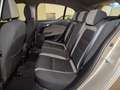 Fiat Tipo Tipo 1.6 Mjt S&S 5 porte Lounge Beige - thumbnail 9