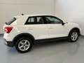 Audi Q2 30 TFSI Business Bianco - thumbnail 6