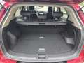 SsangYong Korando Onyx Rot - thumbnail 9