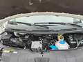 Volkswagen T6.1 Caravelle 2.0 TDI 110 cv Trendline 9 Posti Km 55.000 Weiß - thumbnail 14