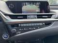 Lexus ES 300 Hybrid FSport - thumbnail 12