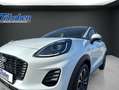 Ford Puma Titanium 1,0 EcoBoost MHD*SYNC*Winterp.*SHZ Blanc - thumbnail 21