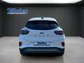 Ford Puma Titanium 1,0 EcoBoost MHD*SYNC*Winterp.*SHZ Blanc - thumbnail 6