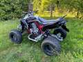 Yamaha YFM 700 Sonderedition 2015 - thumbnail 2