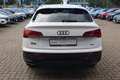 Audi Q5 40 TDI S-Line quattro s-tronic LED ACC Navi Kam Weiß - thumbnail 6