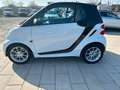 smart forTwo fortwo coupe Micro Hybrid Drive Bílá - thumbnail 4
