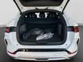 BYD Seal U DM-i Boost PHEV Navi, Klima, Kamera, Pano, el.Sitz Blanc - thumbnail 17