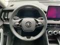 Skoda Kodiaq Kodiaq 2.0 TDI DSG Selection *AHK*Memory*19´Zoll Schwarz - thumbnail 8
