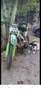 Kawasaki KX 250 Verde - thumbnail 3