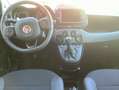 Fiat Panda 1.0 Mild Hybrid Red Cross Rot - thumbnail 13