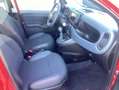 Fiat Panda 1.0 Mild Hybrid Red Cross Rot - thumbnail 11