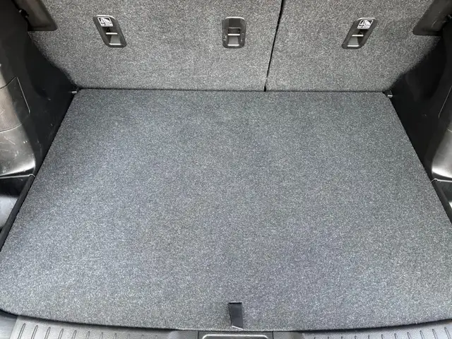 Suzuki Vitara view 9