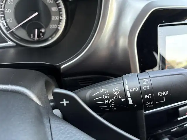 Suzuki Vitara view 21