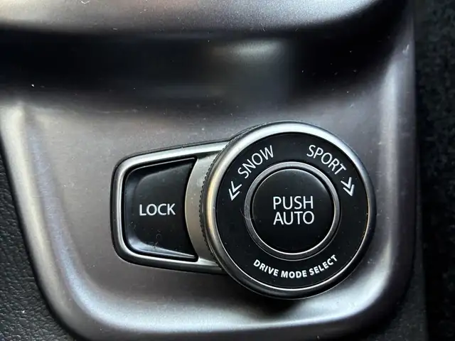 Suzuki Vitara view 13