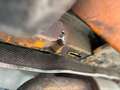 Volkswagen T6 Transporter T6.1  Pritsche Doppelkabine Lang Klima Standh Orange - thumbnail 18