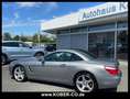 Mercedes-Benz SL 500 LEDER+NAVI+AIRCARF+GLASDACH+KAMERA+SHZ+LM Silber - thumbnail 17