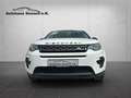 Land Rover Discovery Sport *Navi*Spurhaltesystem*Xenon*PDC* White - thumbnail 11