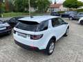 Land Rover Discovery Sport *Navi*Spurhaltesystem*Xenon*PDC* Weiß - thumbnail 11