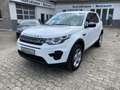 Land Rover Discovery Sport *Navi*Spurhaltesystem*Xenon*PDC* Wit - thumbnail 3