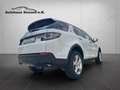 Land Rover Discovery Sport *Navi*Spurhaltesystem*Xenon*PDC* White - thumbnail 13