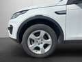 Land Rover Discovery Sport *Navi*Spurhaltesystem*Xenon*PDC* White - thumbnail 15
