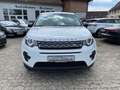 Land Rover Discovery Sport *Navi*Spurhaltesystem*Xenon*PDC* Weiß - thumbnail 2
