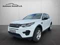 Land Rover Discovery Sport *Navi*Spurhaltesystem*Xenon*PDC* White - thumbnail 3